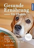 Gesunde Ernährung für Hunde: Fertigfutter oder selbstgemacht - gesundes Futter für jeden Hund