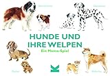 Hunde und ihre Welpen (Spiel): Ein Memo-Spiel