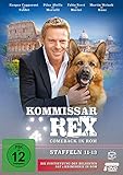 Kommissar Rex - Comeback in Rom (Staffeln 11-13) (Die Fortsetzung der SAT.1-Krimiserie in Rom) (Fernsehjuwelen) [8 DVDs]